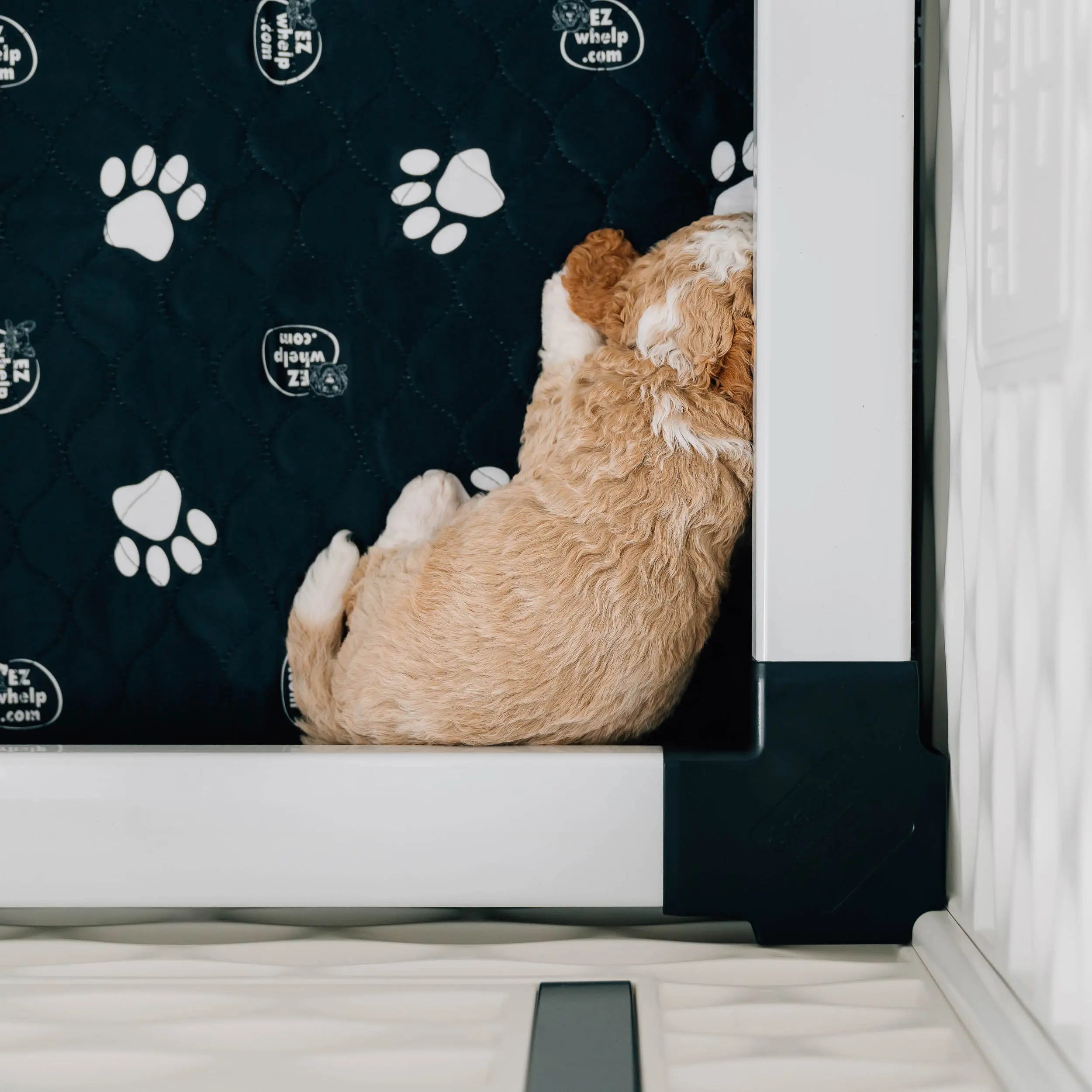 Black & White Slip Resistant Paw Print Pad/Mat, 2 Pack EZwhelp