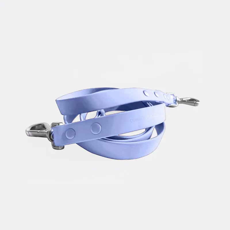 Leash
