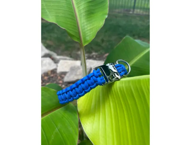Cobra Braid in Royal Blue - Handmade Dog Collar Pawsh Pup Co.