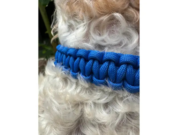 Cobra Braid in Royal Blue - Handmade Dog Collar Pawsh Pup Co.