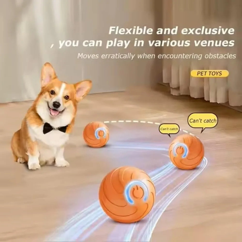 Pet Toy Ball with Tail Rope,Smart Automatic Pet Chase Ball Toy, Upgraded Speedy Tail Kitten Toy for Bored Indoor Adult Pets