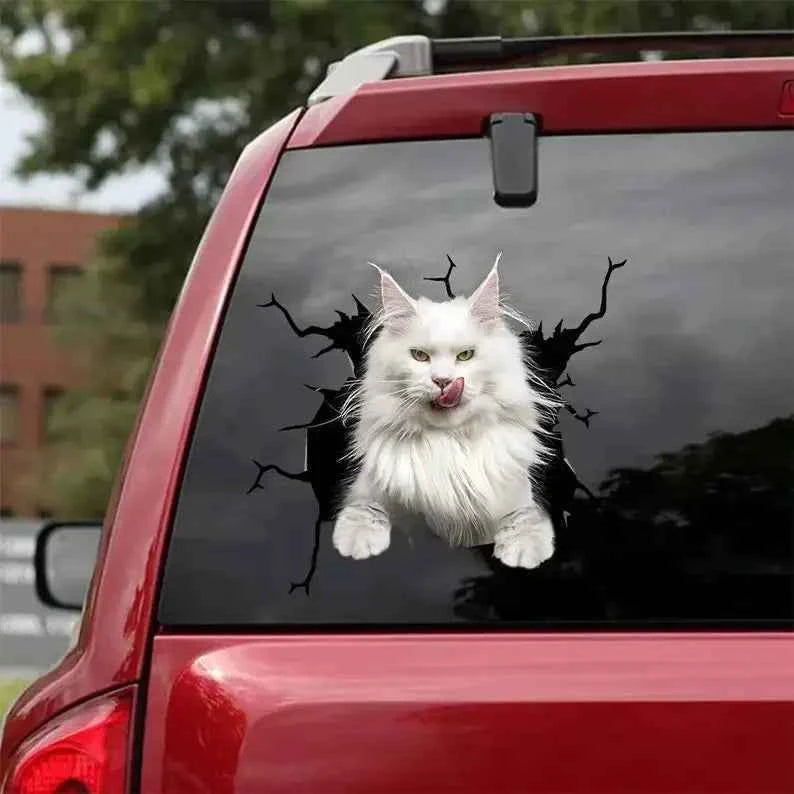 Maine Coon Cat Decal - fits cars,Windows,Laptops and any smooth surface, Maine Coon Cat Stickers, Pet Stickers, Custom Cat Stick