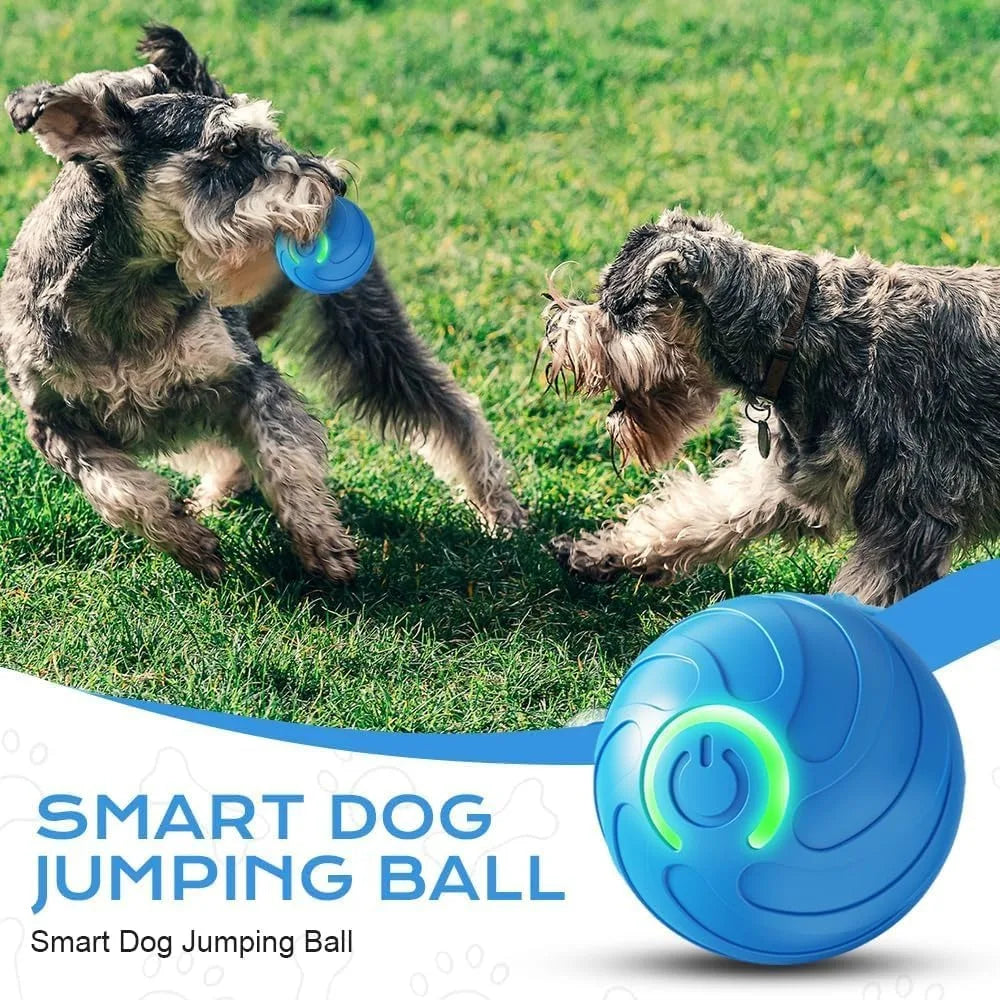 Pet Toy Ball with Tail Rope,Smart Automatic Pet Chase Ball Toy, Upgraded Speedy Tail Kitten Toy for Bored Indoor Adult Pets