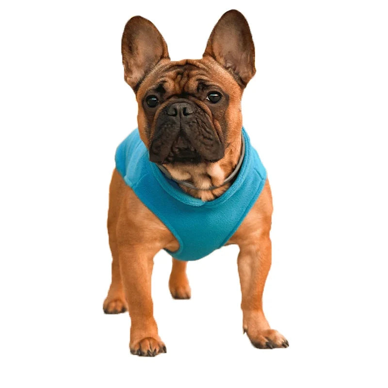 Warm Fleece Dogs Clothes Pet Dog Jacket Vest With D-Ring For Small Dog Cats Clothing French Bulldog Costumes Chihuahua Coat