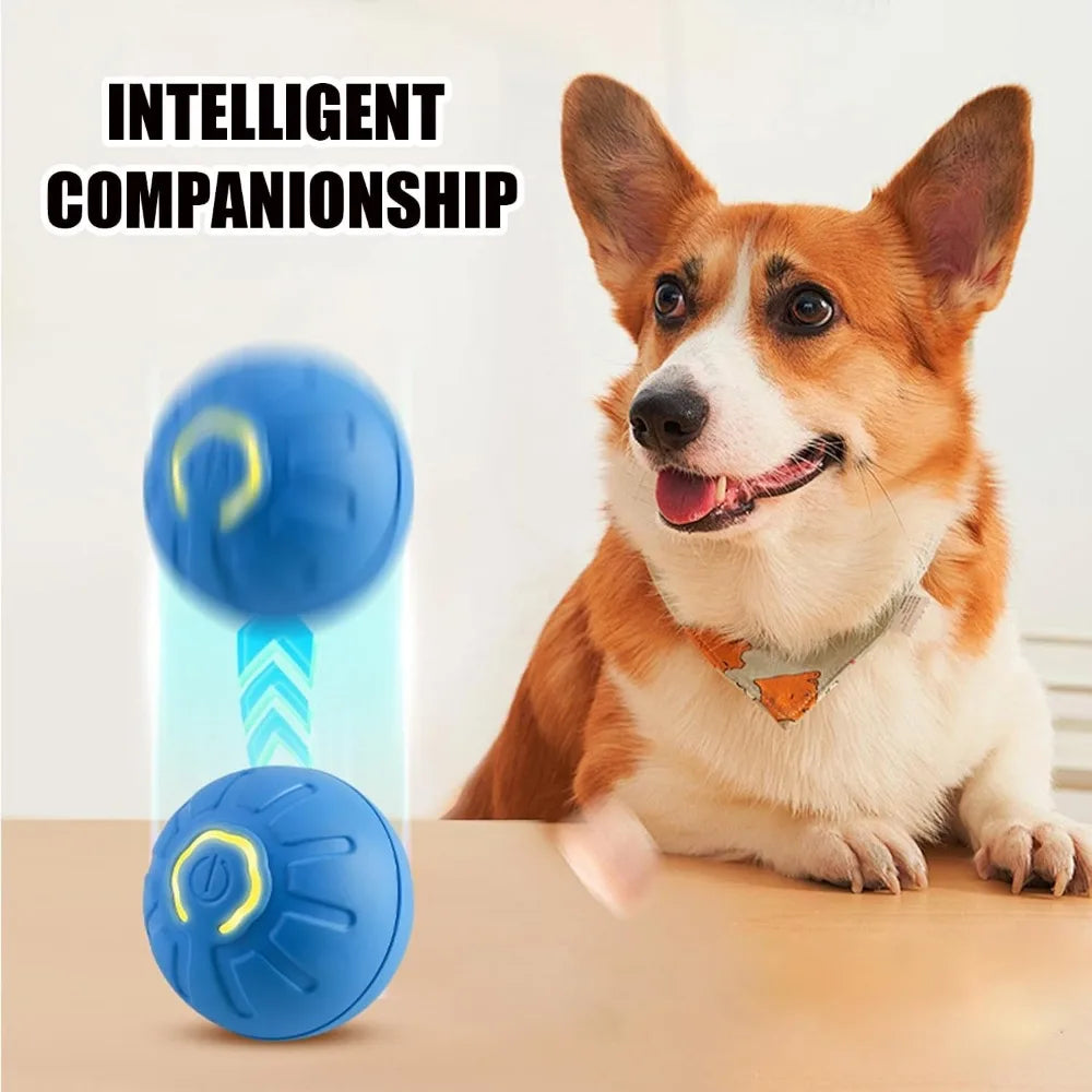 Pet Toy Ball with Tail Rope,Smart Automatic Pet Chase Ball Toy, Upgraded Speedy Tail Kitten Toy for Bored Indoor Adult Pets