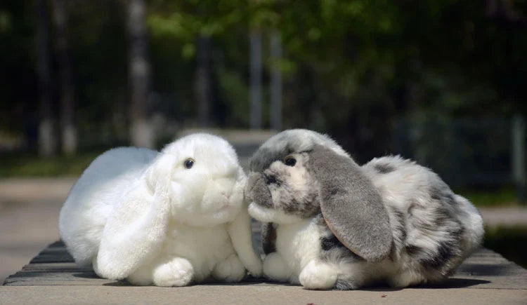 Realistic Lop Ear Rabbit Plush Toy, Lop Rabbit Plushie, Lifelike White Brown Bunny Stuffed Animal, Holland Lop Simulation Doll