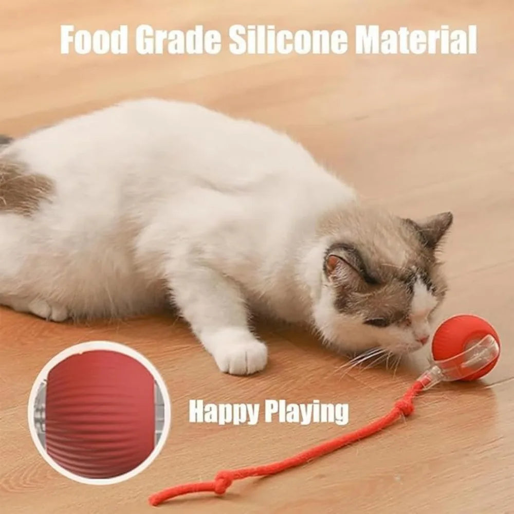 Pet Toy Ball with Tail Rope,Smart Automatic Pet Chase Ball Toy, Upgraded Speedy Tail Kitten Toy for Bored Indoor Adult Pets