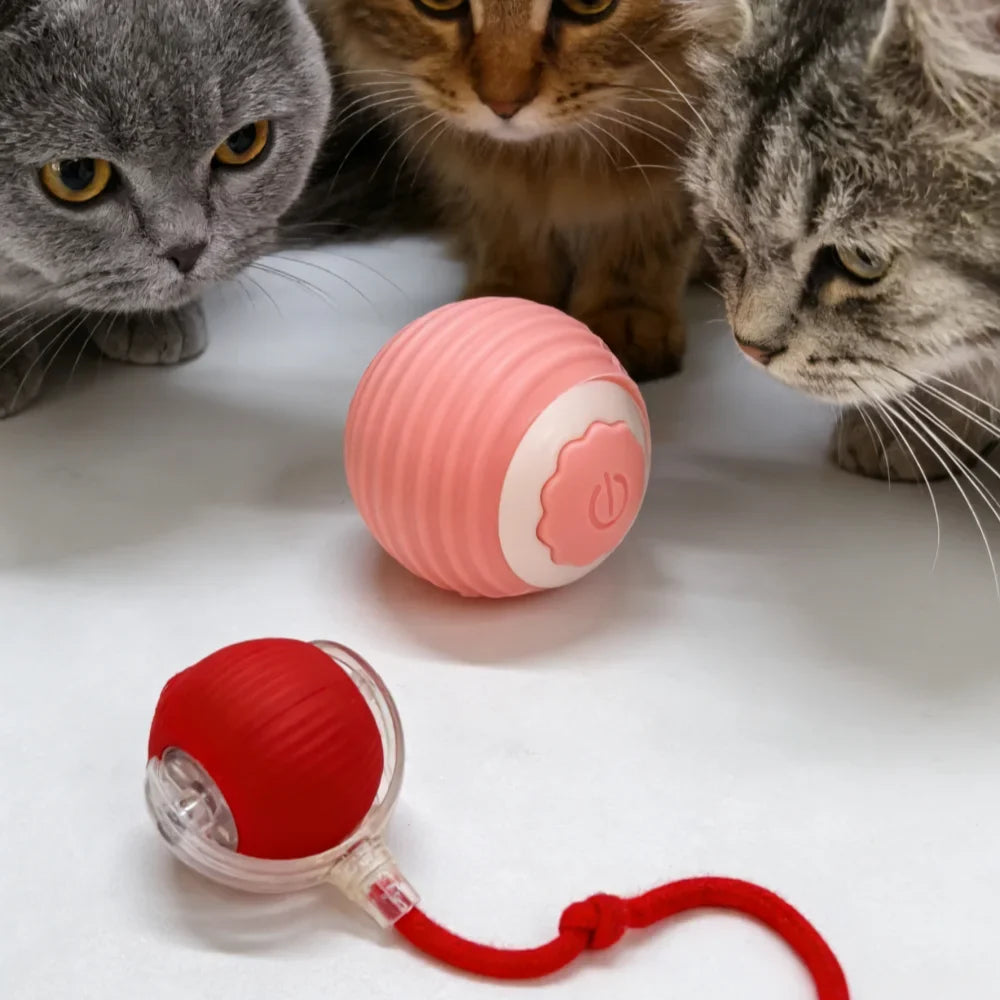 Pet Toy Ball with Tail Rope,Smart Automatic Pet Chase Ball Toy, Upgraded Speedy Tail Kitten Toy for Bored Indoor Adult Pets