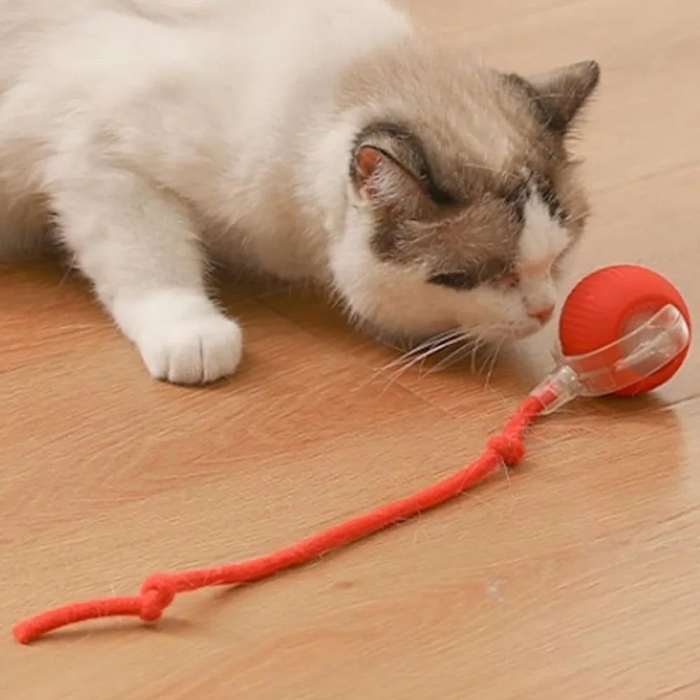 Pet Toy Ball with Tail Rope,Smart Automatic Pet Chase Ball Toy, Upgraded Speedy Tail Kitten Toy for Bored Indoor Adult Pets