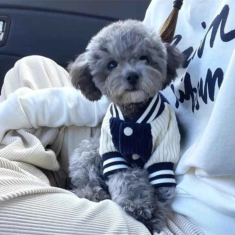 Cute Embroidered Pet Baseball Jackets Dog Clothes For Small Medium Cat Teddy Coat Puppy Spring Clothes Warm Fashion Pet Outfit