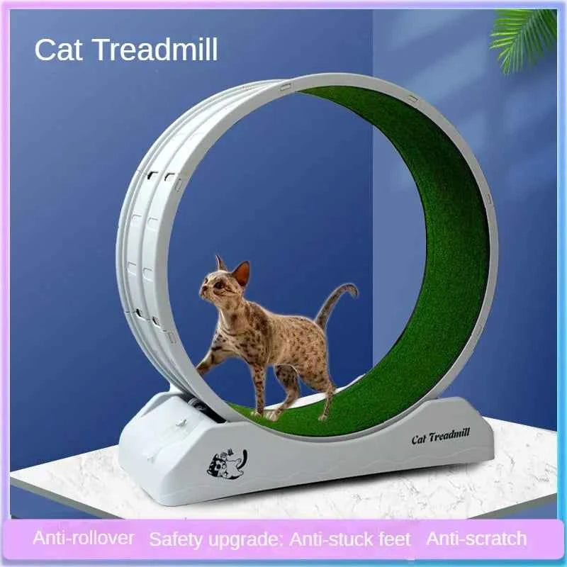 Silent Roller Cat Running Wheel - Plastic Exercise Treadmill