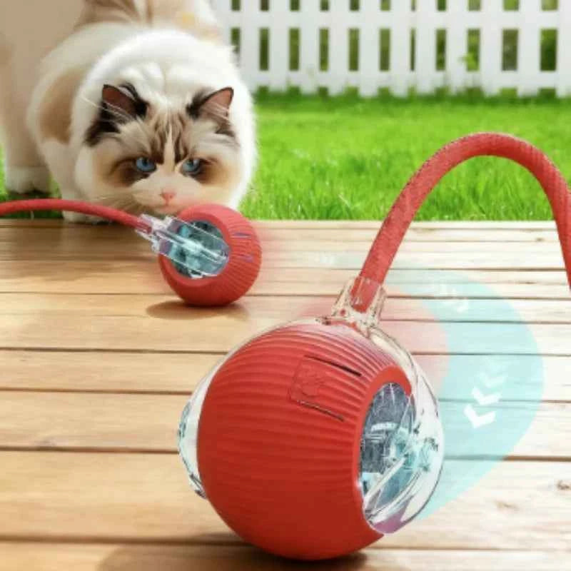 Automatic Smart Cat Toy Ball Interactive Electric Rolling Teaser USB Rechargeable Moving Bouncing Ball for Kittens Birthday Gift