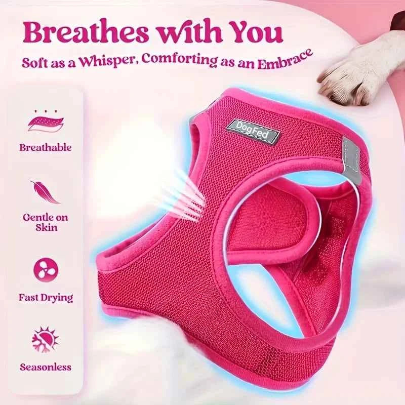 Dog Harness and Leash Set - Reflective Breathable Mesh Vest