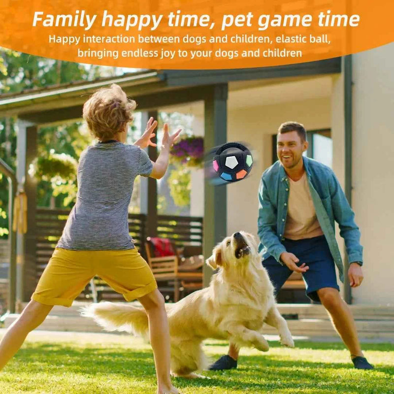 Premium Ultradurable Football Tennis Ball Shaped Dog Toys