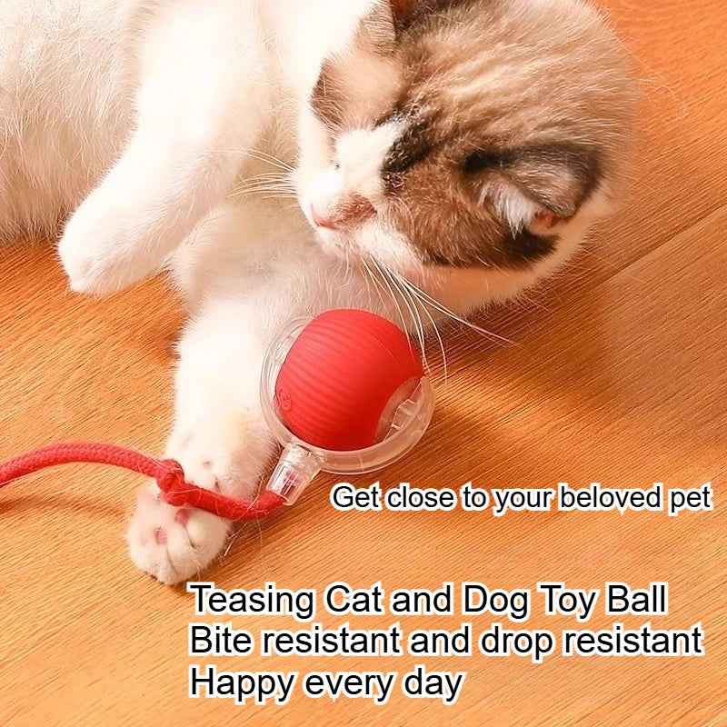 Dog and cat toys, ball, durable, self-entertainment, with rope, cat teaser ball, pet supplies, jumping ball, thud pet toys