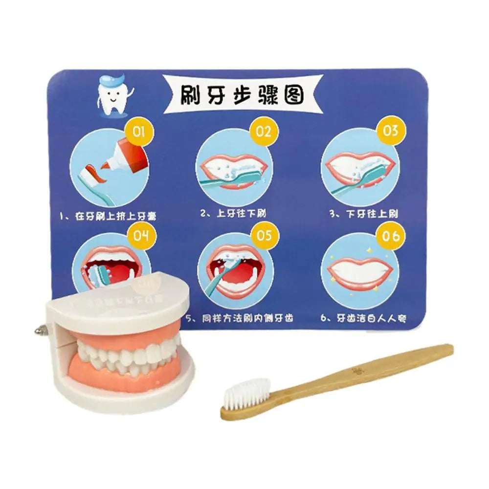 Dentist Toys for Preschool Educational Children Role Play Toys Teeth Brushing Toys Cute Early Education Cartoon Tooth Brushin