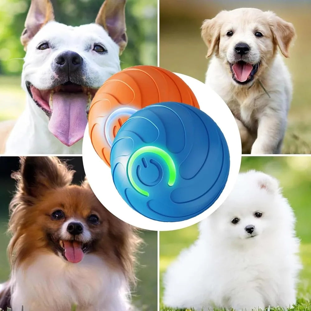 Pet Toy Ball with Tail Rope,Smart Automatic Pet Chase Ball Toy, Upgraded Speedy Tail Kitten Toy for Bored Indoor Adult Pets