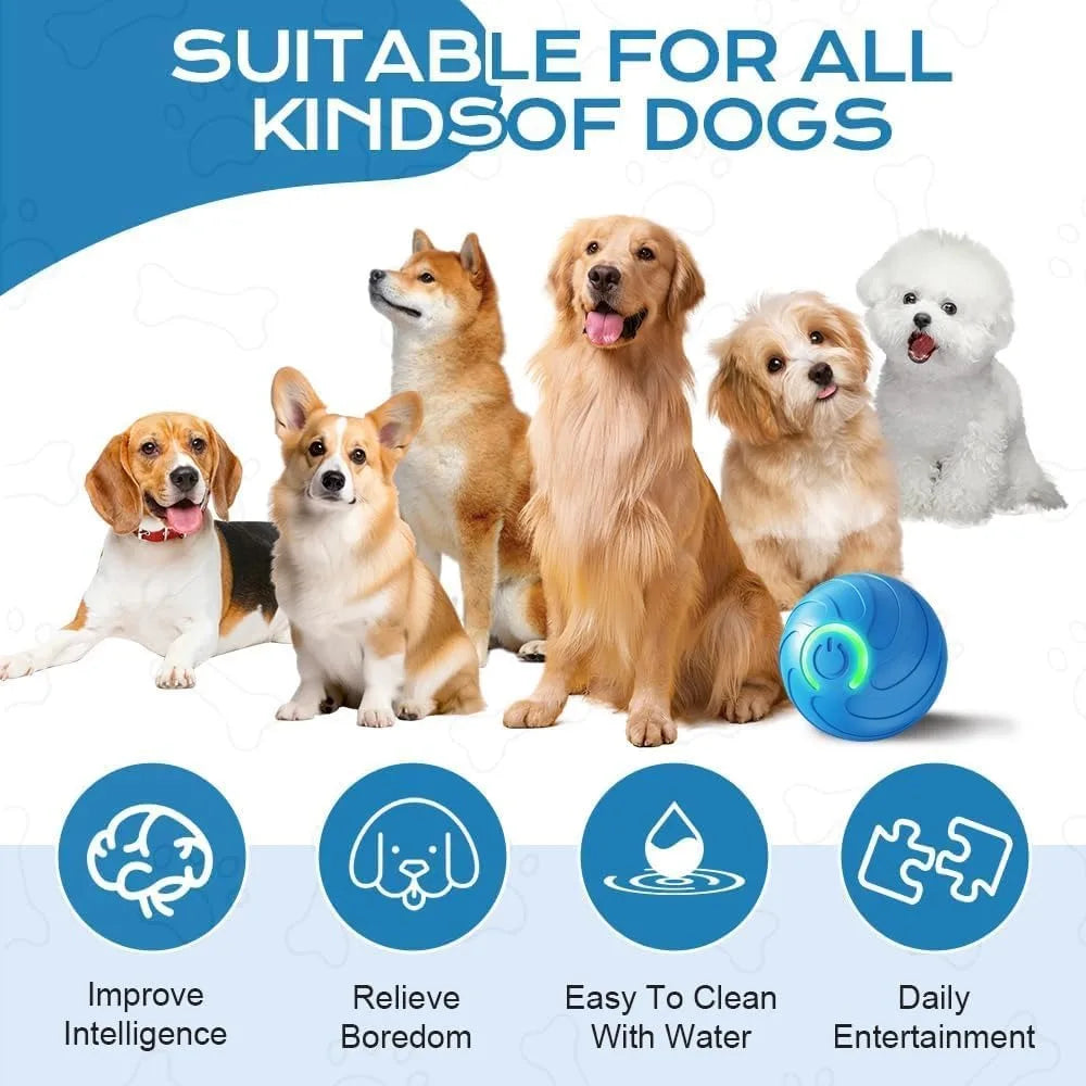Pet Toy Ball with Tail Rope,Smart Automatic Pet Chase Ball Toy, Upgraded Speedy Tail Kitten Toy for Bored Indoor Adult Pets