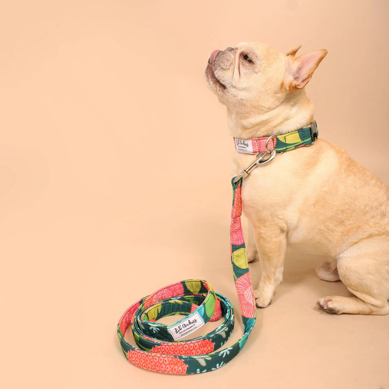 Tropical Garden Recycled Dog Walk Set