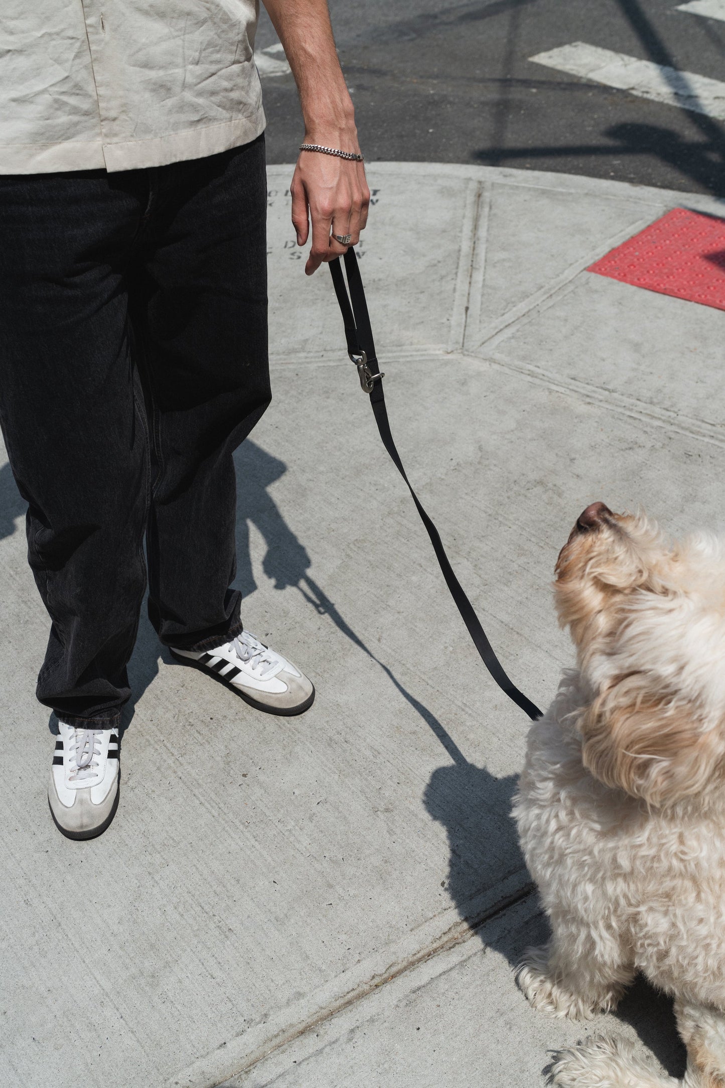 Original City Dog Leash Springland Pets