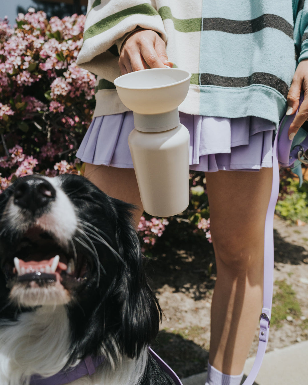 20oz Flip Travel Dog Water Bottle