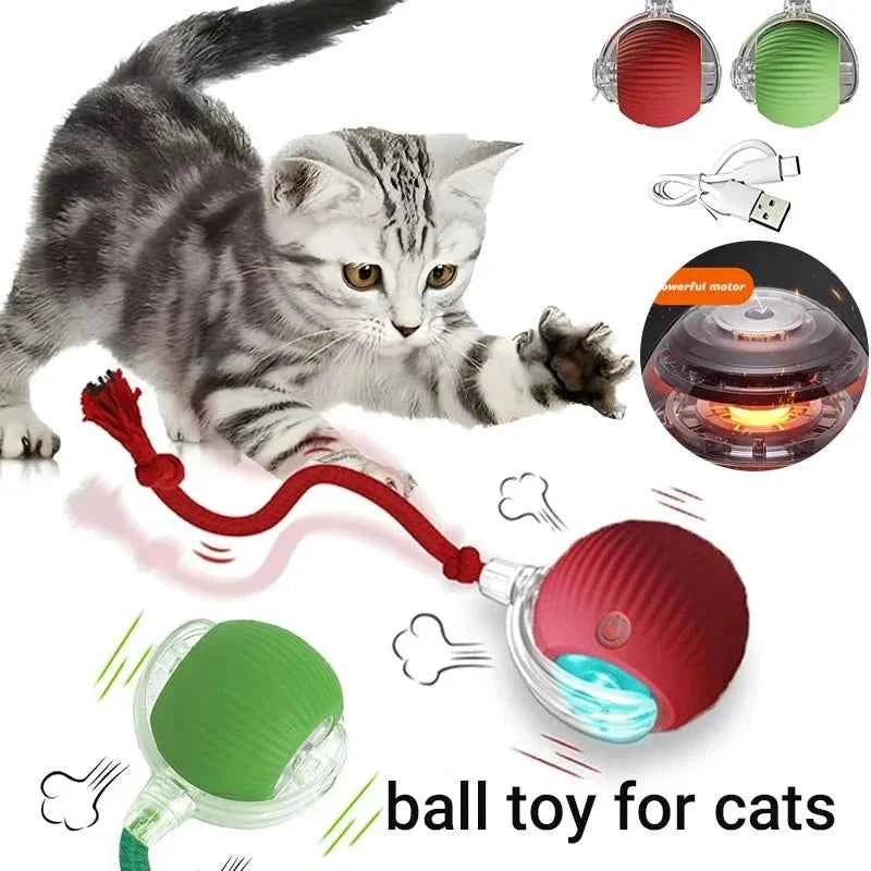 New Cat Interactive Ball Toy,Automatic Rolling Cat Ball Rechargeable,Smart Kitten Interactive Toy,Intelligent Balls Toy for Cat