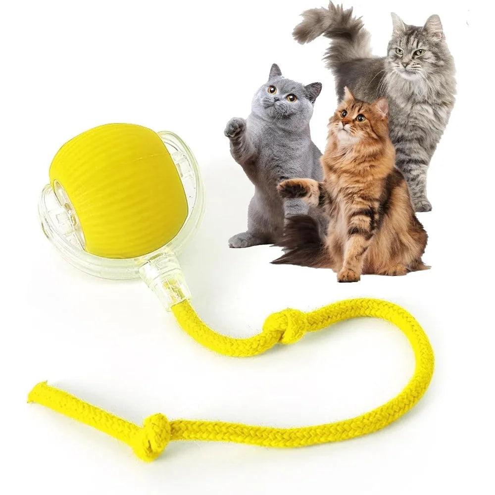 Pet Toy Ball with Tail Rope,Smart Automatic Pet Chase Ball Toy, Upgraded Speedy Tail Kitten Toy for Bored Indoor Adult Pets