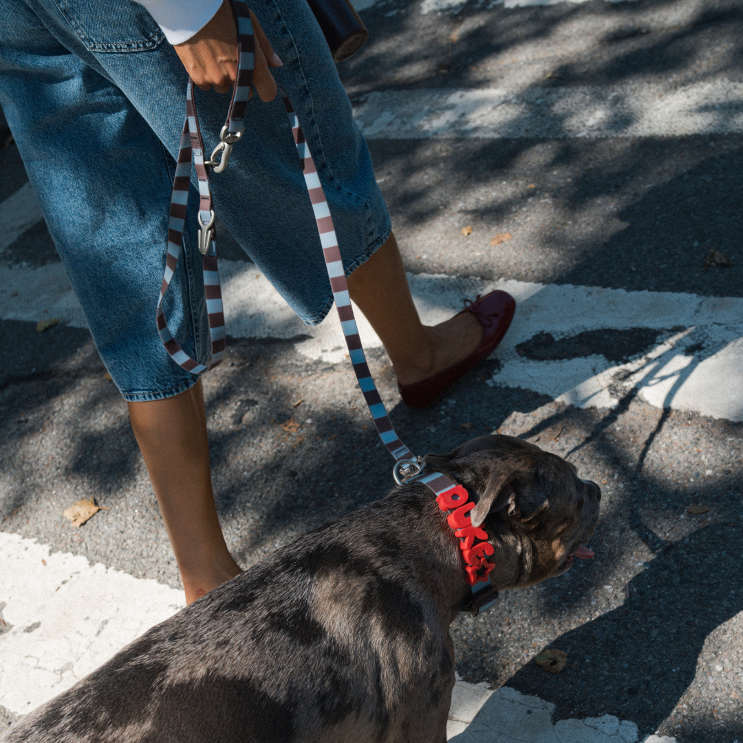 Waterproof Dog Leash - 5ft