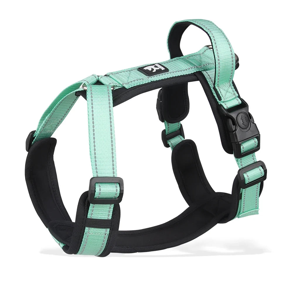 BeiYu Pet Harness With Leash Vest For Dogs
