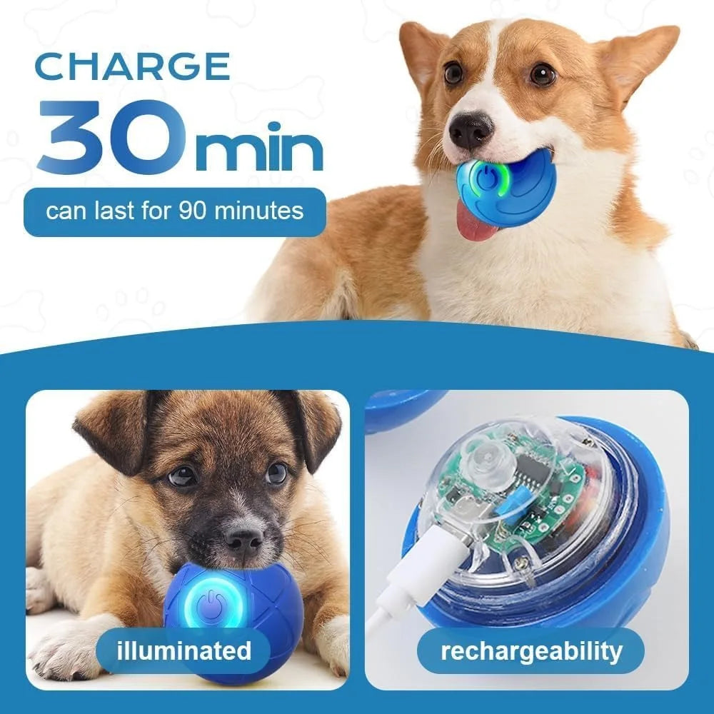 Pet Toy Ball with Tail Rope,Smart Automatic Pet Chase Ball Toy, Upgraded Speedy Tail Kitten Toy for Bored Indoor Adult Pets