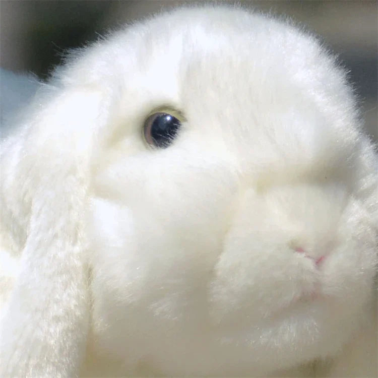 Realistic Lop Ear Rabbit Plush Toy, Lop Rabbit Plushie, Lifelike White Brown Bunny Stuffed Animal, Holland Lop Simulation Doll
