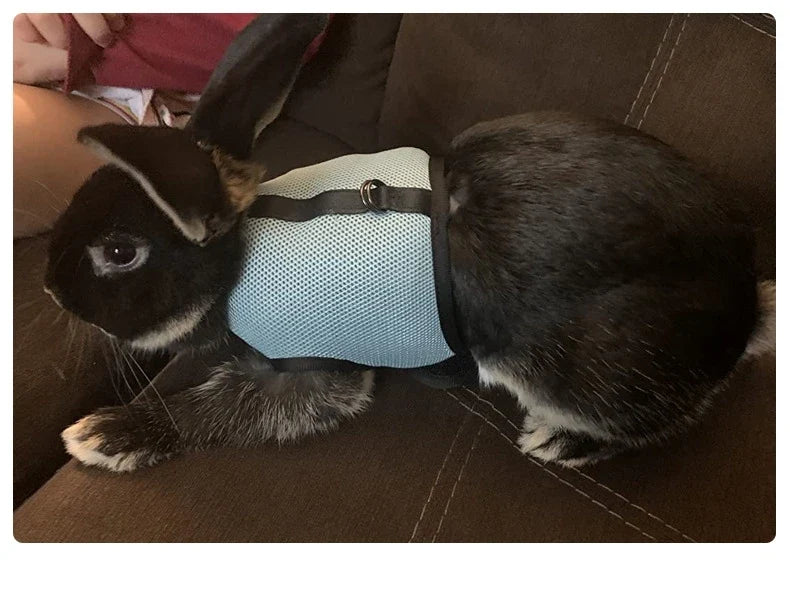 Harness with Leash Set for Rabbits Breathable Pet Vest for Rabbit Ferrets Guinea Pig Squirrel Adjustable Soft Small Pet Harness