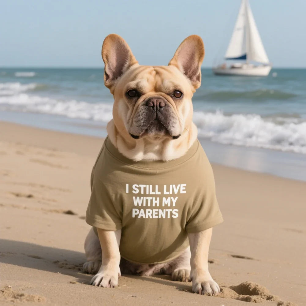French Bulldog Dog Shirts Cotton Letters T-Shirt, Summer Clothes for Small Dogs, Soft Puppy Apparel Cat Tee, Breathable Stretchy
