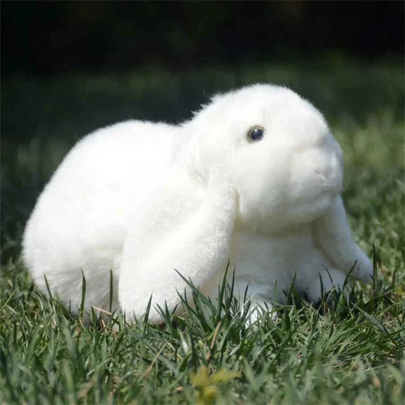 Realistic Lop Ear Rabbit Plush Toy, Lop Rabbit Plushie, Lifelike White Brown Bunny Stuffed Animal, Holland Lop Simulation Doll