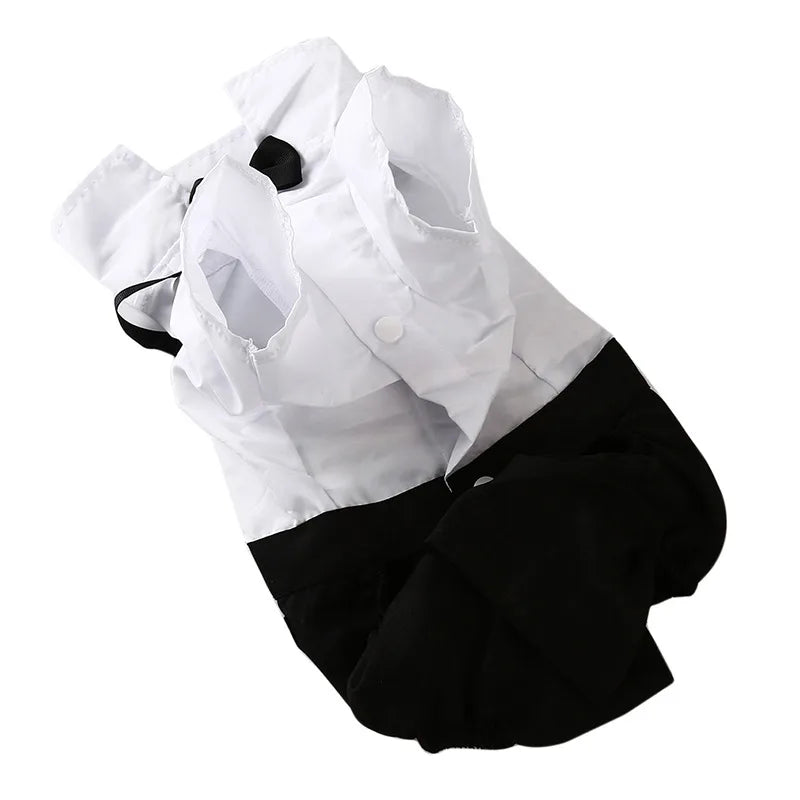 English Style Gentleman Dog Dress Puppy Suit with Tie for Formal Occasions Four Seasons Wedding Pet Photo Teddy Clothes
