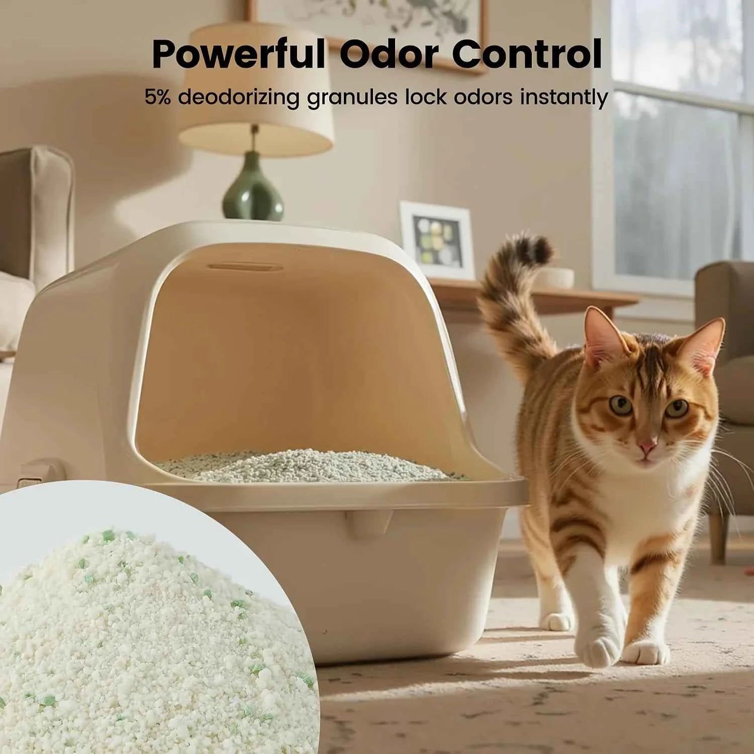1 Nomipaw Cassava Cat Litter | Clumping, Odor Control, Ultra Absorbent and Fast Drying, Plant-Based Natural, Low Tracking, Unsce