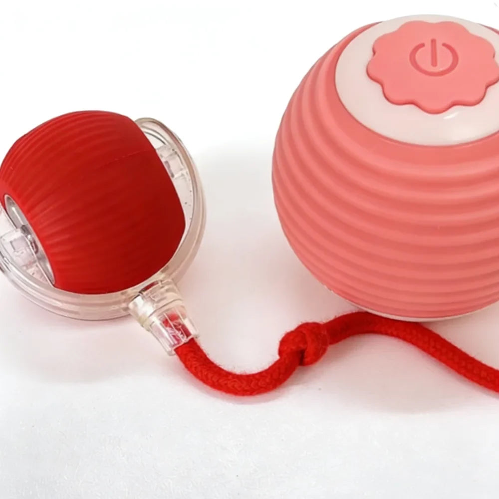 Pet Toy Ball with Tail Rope,Smart Automatic Pet Chase Ball Toy, Upgraded Speedy Tail Kitten Toy for Bored Indoor Adult Pets