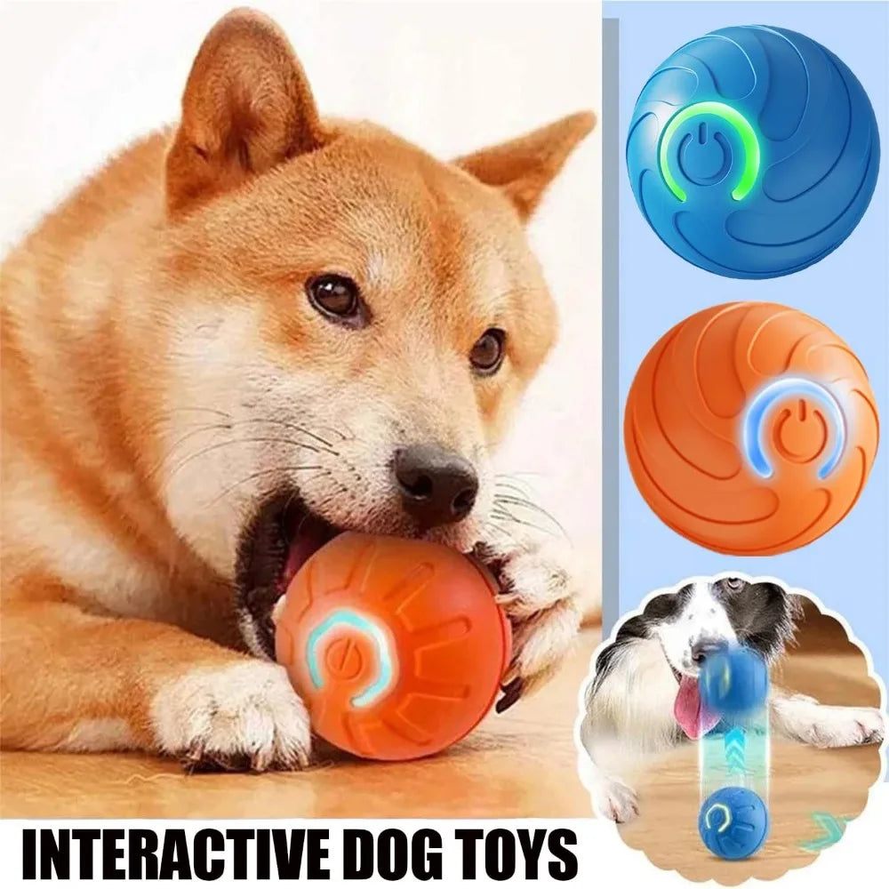 Pet Toy Ball with Tail Rope,Smart Automatic Pet Chase Ball Toy, Upgraded Speedy Tail Kitten Toy for Bored Indoor Adult Pets