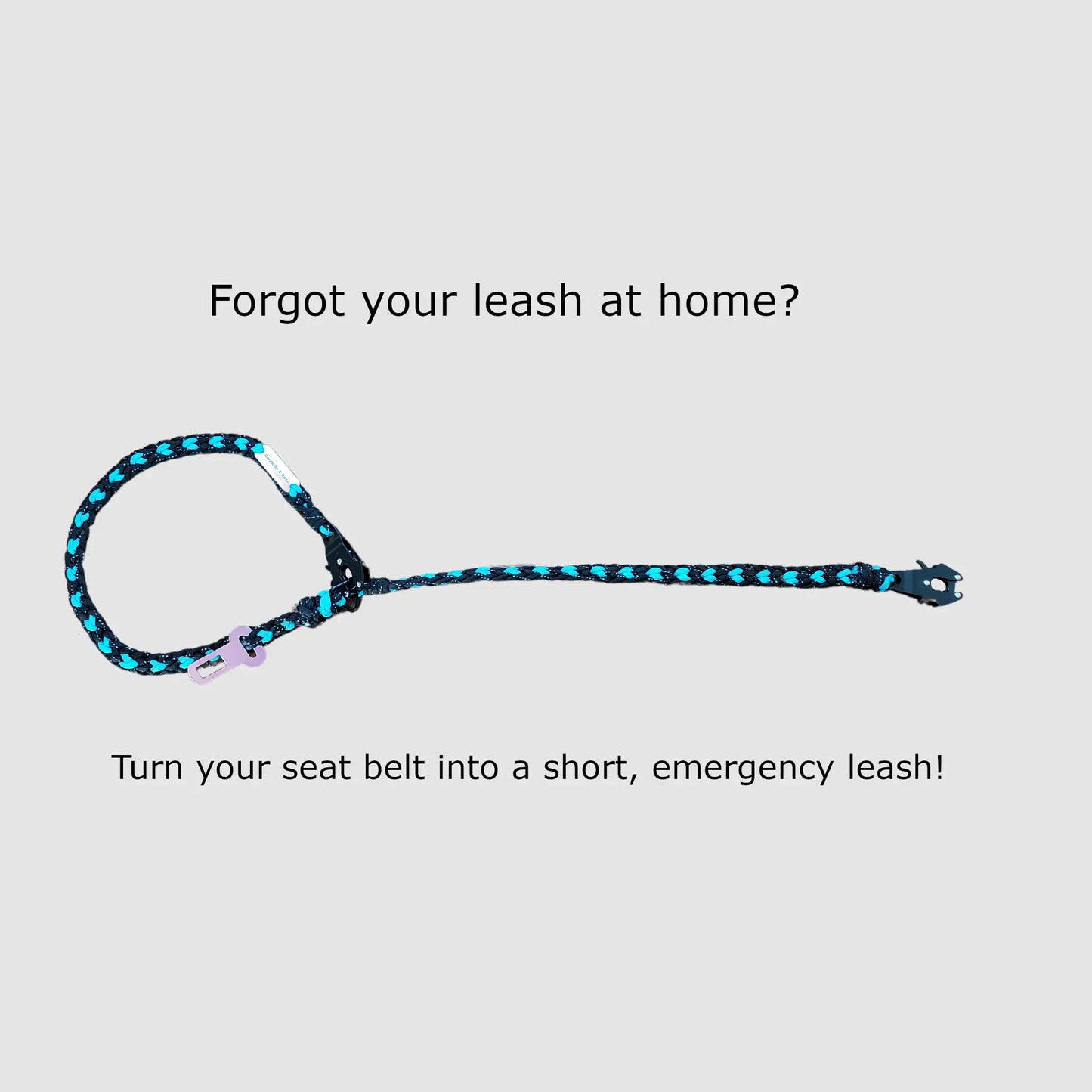 Seat Belt Tether (4-in-1 Connect) Carmella & Rose