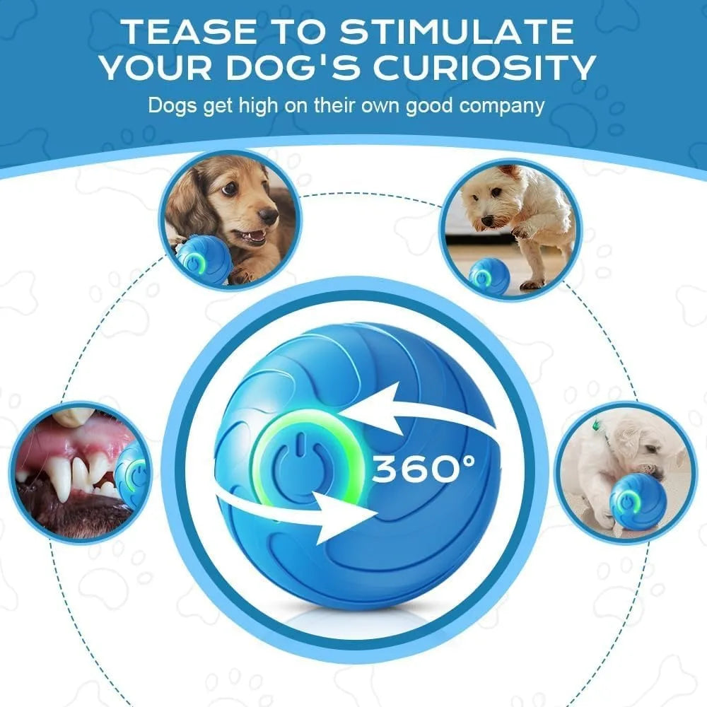 Pet Toy Ball with Tail Rope,Smart Automatic Pet Chase Ball Toy, Upgraded Speedy Tail Kitten Toy for Bored Indoor Adult Pets
