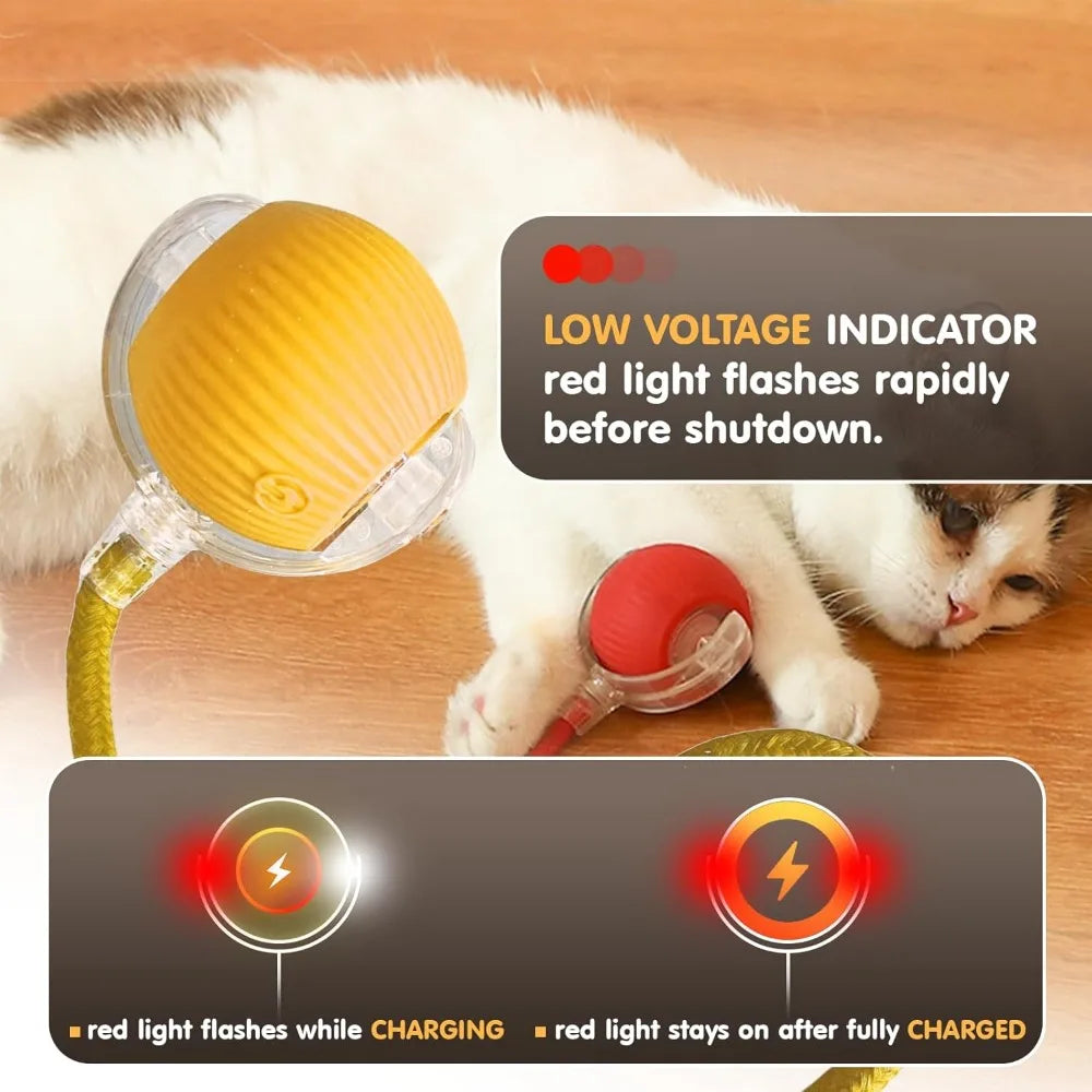 Pet Toy Ball with Tail Rope,Smart Automatic Pet Chase Ball Toy, Upgraded Speedy Tail Kitten Toy for Bored Indoor Adult Pets