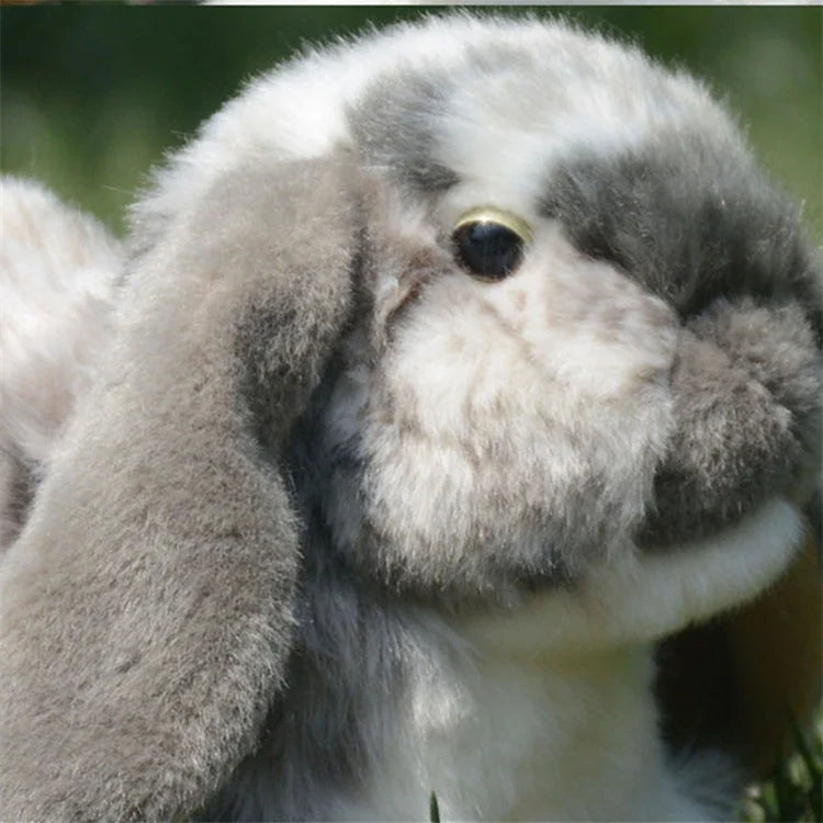 Realistic Lop Ear Rabbit Plush Toy, Lop Rabbit Plushie, Lifelike White Brown Bunny Stuffed Animal, Holland Lop Simulation Doll