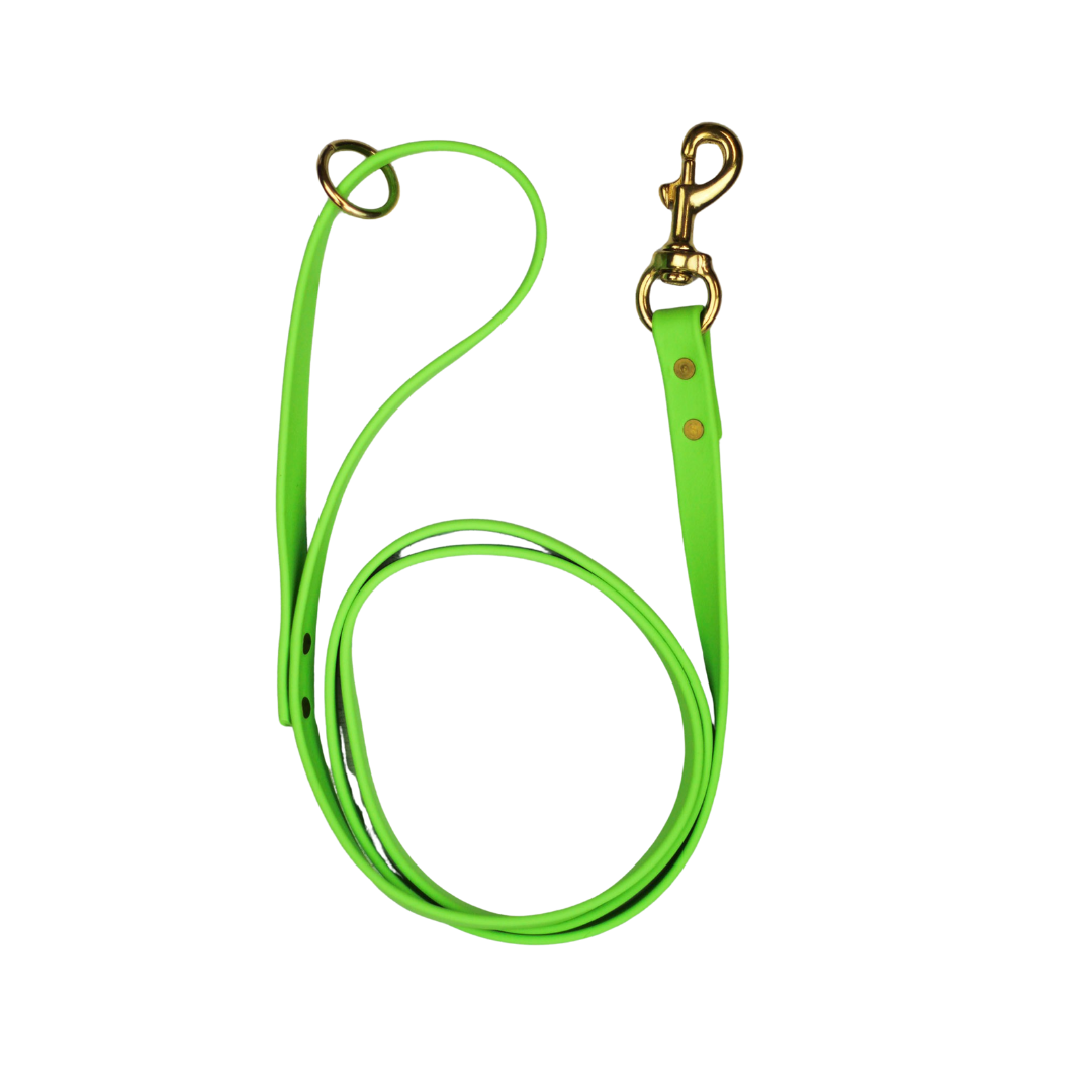 Key Lime Biothane Leash Le Gray Haus