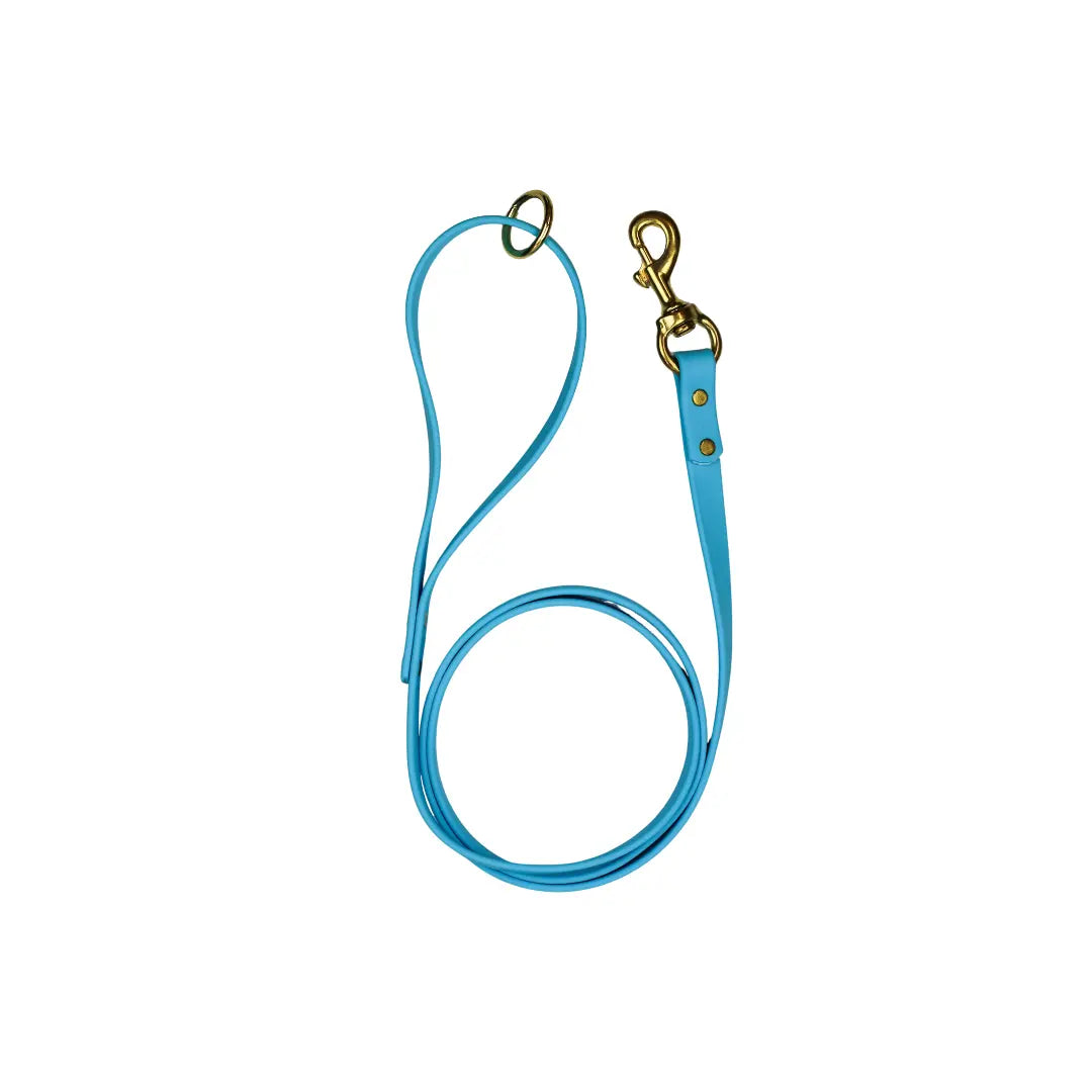 Blueberry Bliss Biothane Leash Le Gray Haus