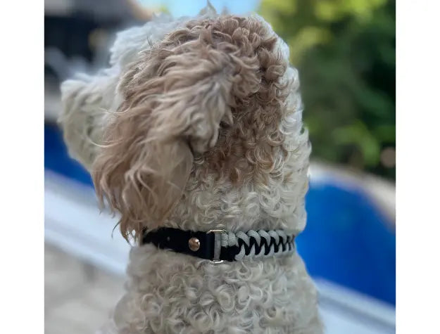 Fishtail Hand Braided Dog Collar in Black & Smoke Pawsh Pup Co.