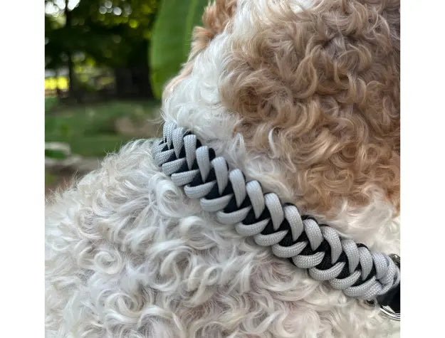 Fishtail Hand Braided Dog Collar in Black & Smoke Pawsh Pup Co.