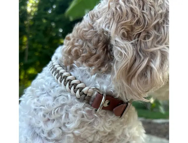 Fishtail Hand Braided Dog Collar in Tan & Cream Pawsh Pup Co.