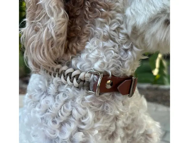 Fishtail Hand Braided Dog Collar in Tan & Cream Pawsh Pup Co.