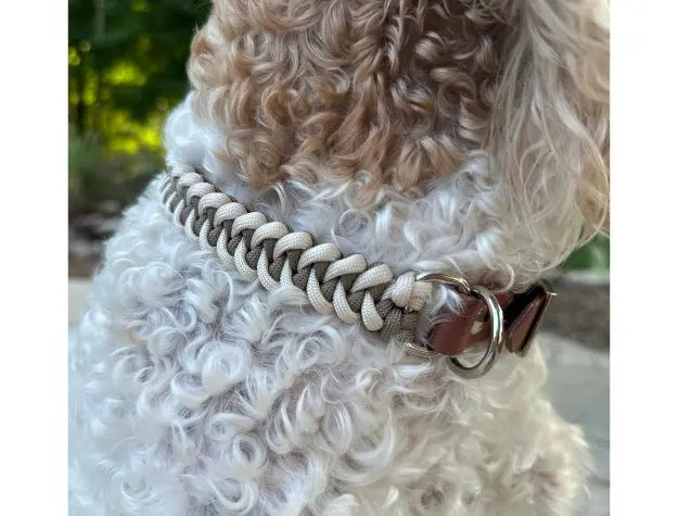 Fishtail Hand Braided Dog Collar in Tan & Cream Pawsh Pup Co.