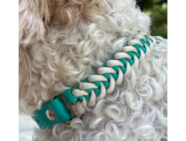 Fishtail Hand Braided Dog Collar in Teal & Cream Pawsh Pup Co.